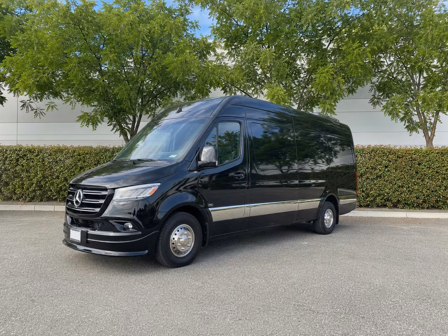 sprinter van with driver